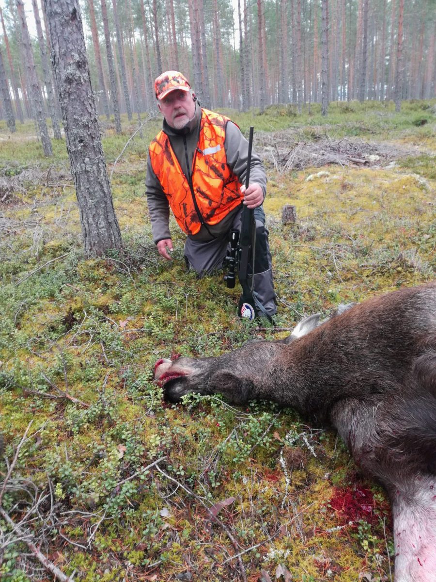 Hunter kneeling beside a moose in the pine forest